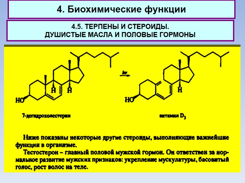 4. Биохимические функции 4.5. ТЕРПЕНЫ И СТЕРОИДЫ.  ДУШИСТЫЕ МАСЛА И ПОЛОВЫЕ ГОРМОНЫ